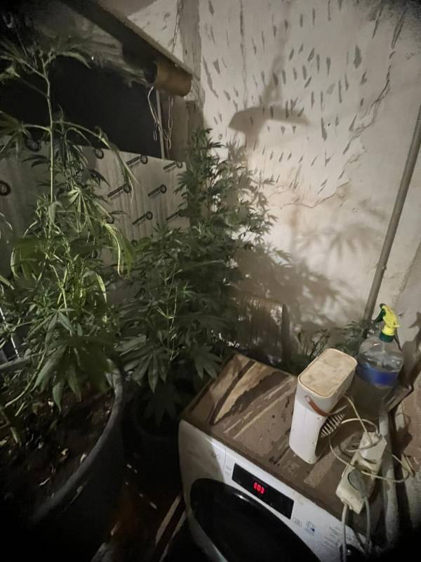 Ссора с бывшей привела к уголовному делу Ссора с бывшей привела к уголовному делу