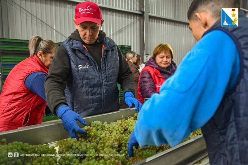 Севастополь — центр органического виноделия