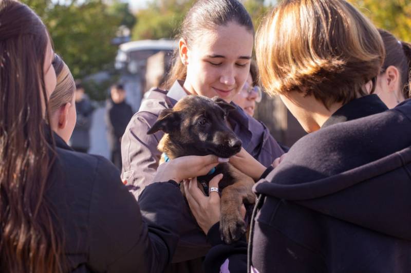 Крымские школьники открыли для себя мир кинологии