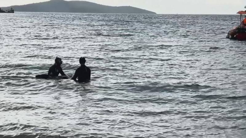 Лодки с мигрантами затонули у берегов Греции и Турции