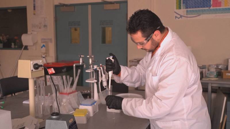 Надежда для природы: учёные нашли слабое место «emstrongвечных химикатов»/em/strong