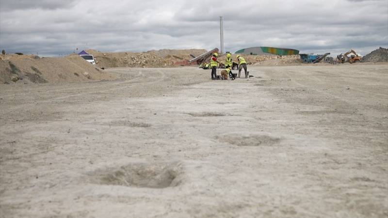 В Англии нашли тропу динозавров длиной более 200 метров