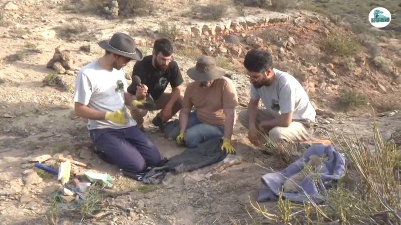 В аргентинской Патагонии нашли редкие окаменелости динозавров