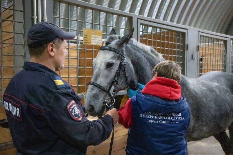 В Едином центре кинологии и кавалерии УМВД России по г.Севастополю прошли плановые ветеринарные мероприятия для служебных лошадей