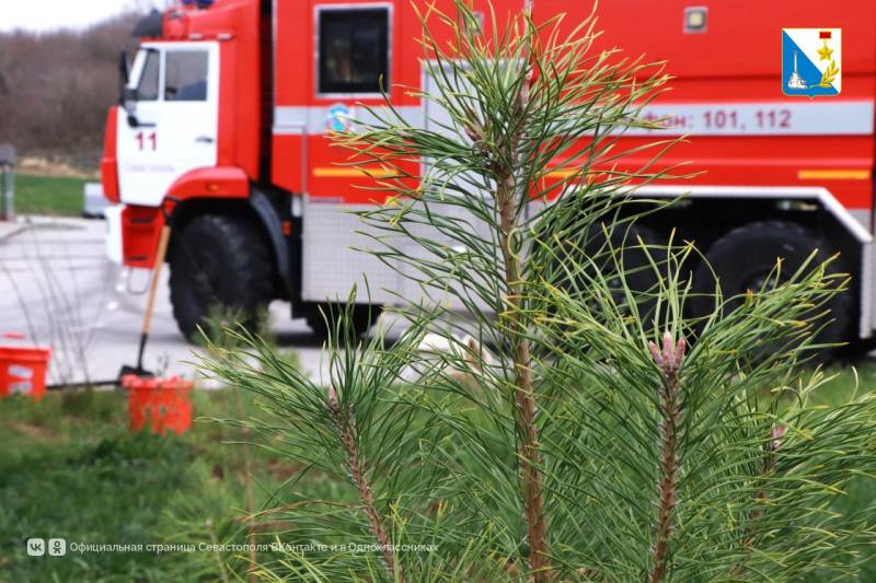 Пожарные и молодежь создали зелёную аллею в севастопольской части Пожарные и молодежь создали зелёную аллею в севастопольской части