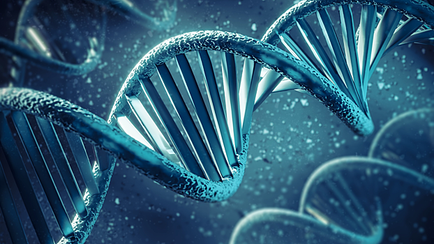 На Конгрессе молодых ученых прошла сессия о генных технологиях