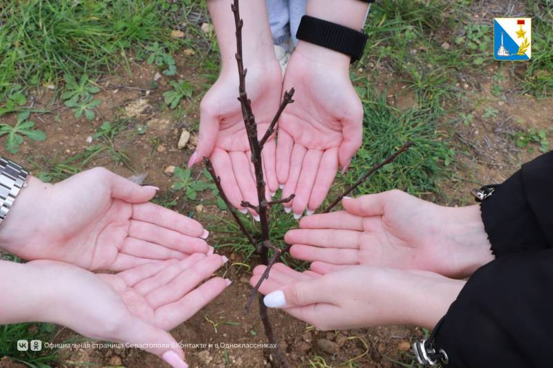 Пожарные и молодежь создали зелёную аллею в севастопольской части Пожарные и молодежь создали зелёную аллею в севастопольской части