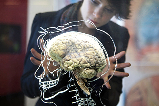 Специалист ответил, какие шансы есть у обычного человека стать долгожителем