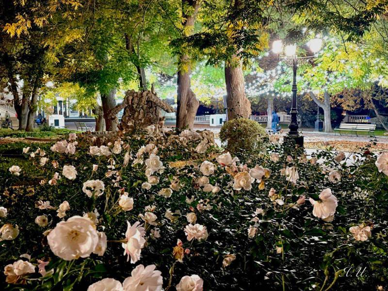 Горсвет: Вечерний Севастополь, 23 ноября 2025 г