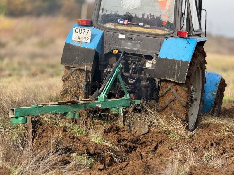 В Мекензиевском лесничестве начали вспахивать почву под будущий лес