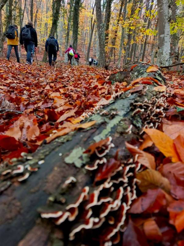 Обучающиеся объединения «Мой край - Севастополь» Балаклавского дома детского и юношеского творчества под руководством педагога дополнительного образования Яланской Галины Вадимовны продолжают изучать малую Родину, осваивая...
