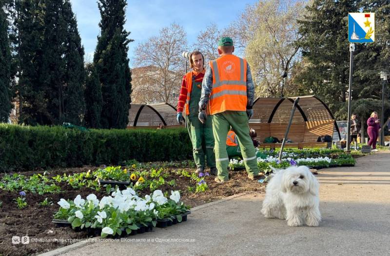 В сквере Юрия Гагарина создали цветочные ковры по эскизам детей-победителей конкурса «Рисуй цветами» В сквере Юрия Гагарина создали цветочные ковры по эскизам детей-победителей конкурса «Рисуй цветами»