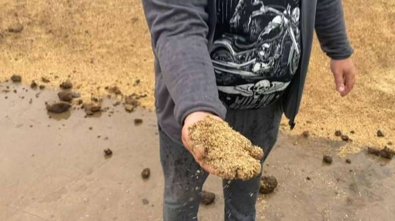 В Анапе зафиксировали новые выбросы мазута