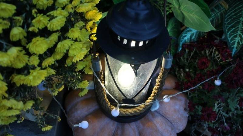 Школа останется без электричества: в Симферополе, Евпатории, Алуште, Ялте, Керчи, Феодосии и Севастополе отключат свет 26 ноября