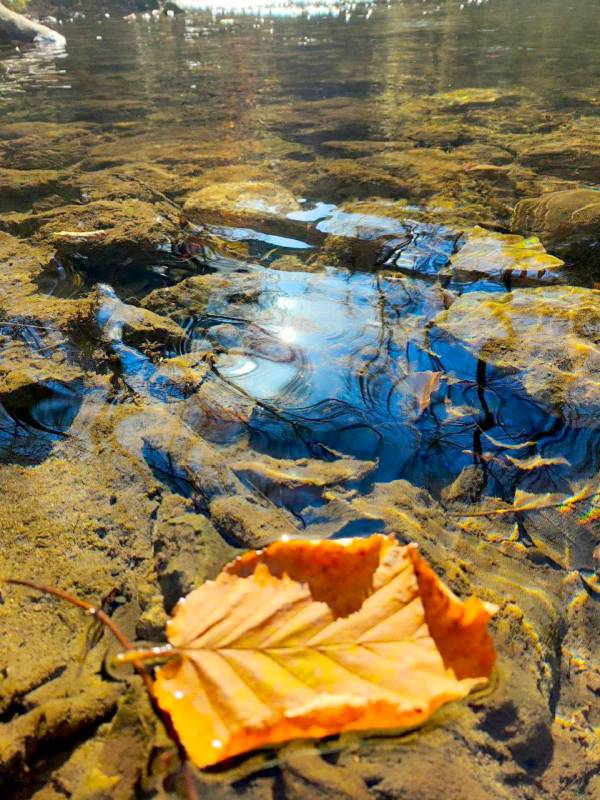 Обучающиеся объединения «Мой край - Севастополь» Балаклавского дома детского и юношеского творчества под руководством педагога дополнительного образования Яланской Галины Вадимовны продолжают изучать малую Родину, осваивая...