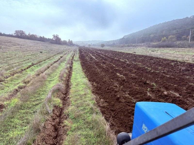 В Мекензиевском лесничестве начали вспахивать почву под будущий лес