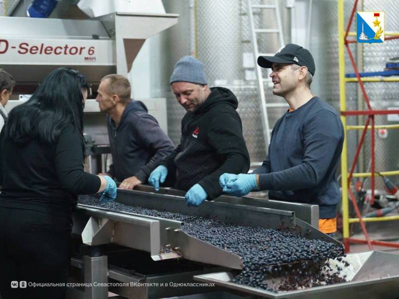 Виноградари Севастополя собрали за сезон 21 тысячу тонн