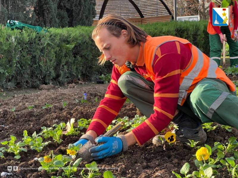 В сквере Юрия Гагарина создали цветочные ковры по эскизам детей-победителей конкурса «Рисуй цветами» В сквере Юрия Гагарина создали цветочные ковры по эскизам детей-победителей конкурса «Рисуй цветами»