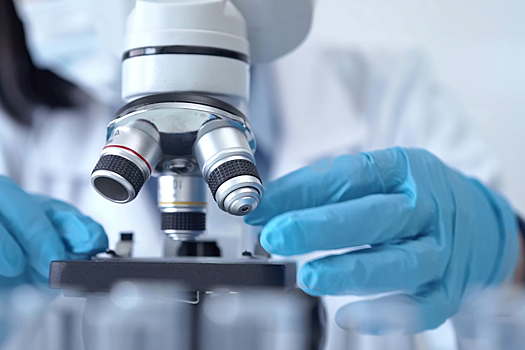 Стало известно, как кишечные бактерии могут продлить жизнь человека