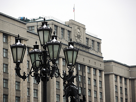 Депутаты Госдумы разработали меры по борьбе со сделками по схеме Долиной