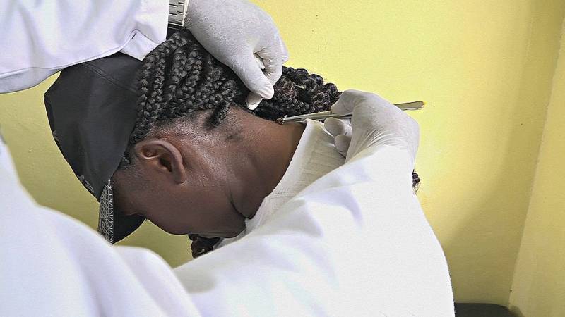 Могут ли укусы пчёл лечить болезни?