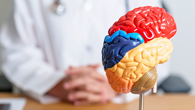 Исследователи определили новый механизм развития болезни Альцгеймера