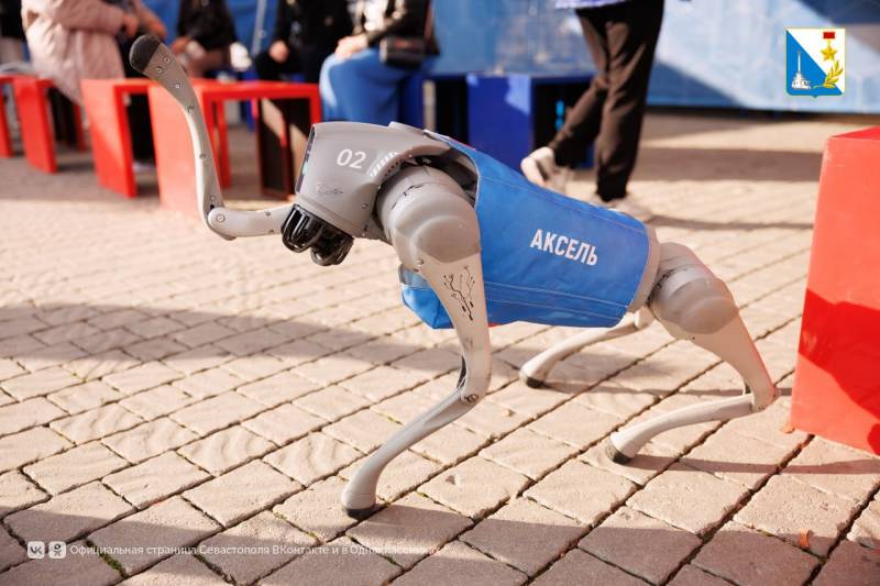 На площади Нахимова 27 и 28 декабря пройдёт семейный фестиваль «Проводник смыслов» На площади Нахимова 27 и 28 декабря пройдёт семейный фестиваль «Проводник смыслов»