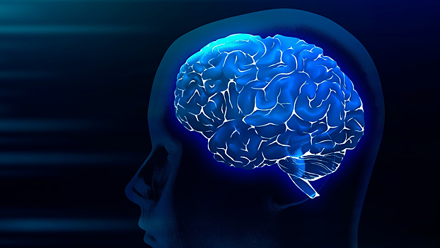 В России придумали, как увеличить способности мозга