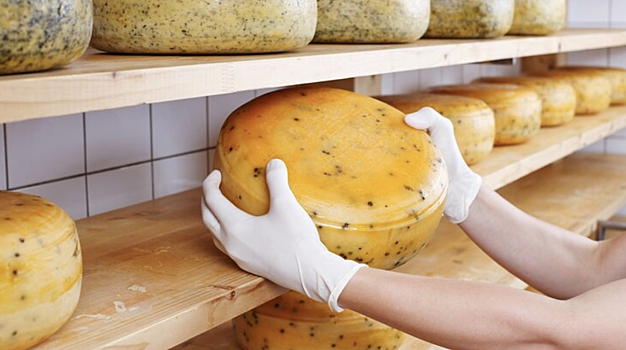 Россия впервые ввезла сыр из Китая