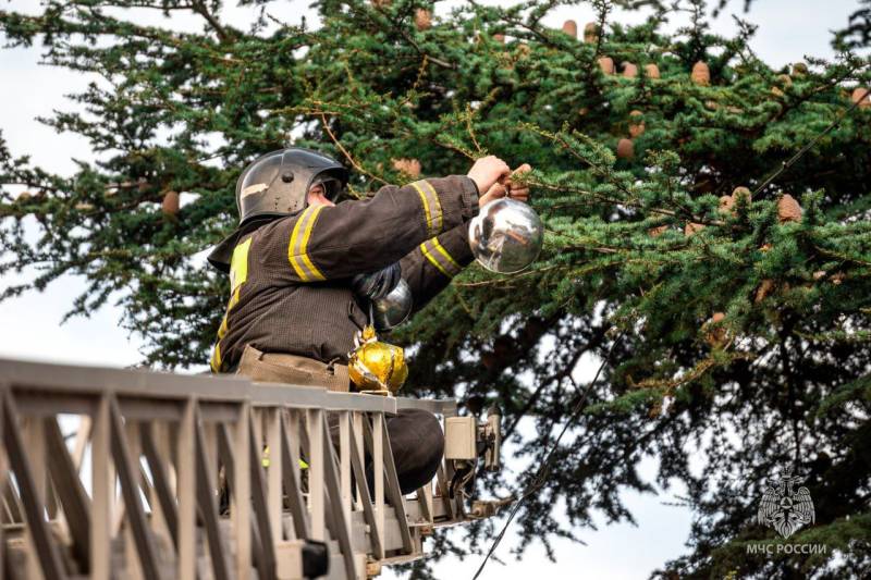 Севастопольские пожарные подарили новогоднюю сказку детям