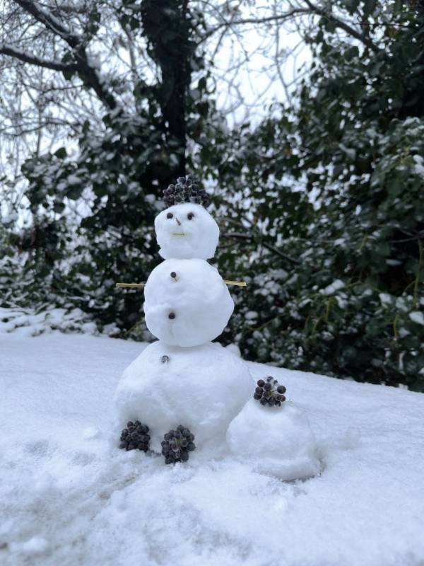 Читатели КП-Севастополь делятся заснеженными видами различных районов города