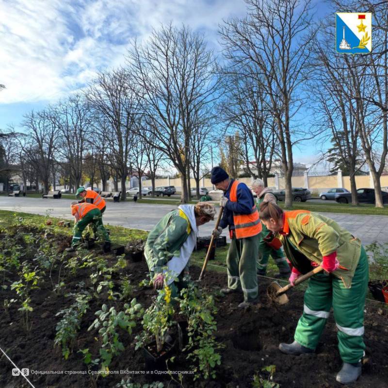 У Владимирского собора обновили розарий