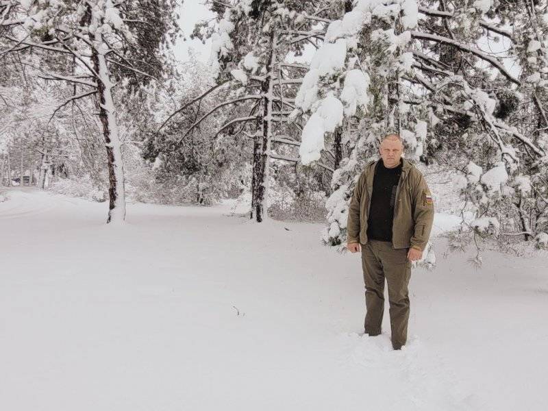 В севастопольских лесах отсутствуют случаи незаконной вырубки краснокнижных деревьев