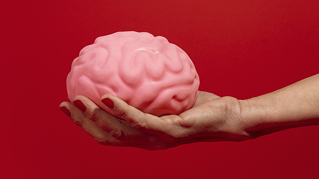 Стало известно, что сохраняет память при болезни Альцгеймера