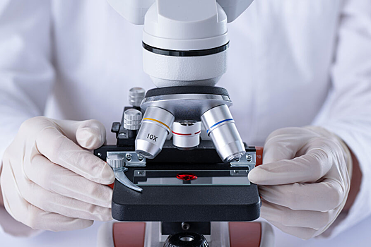 Ученые обнаружили в клетках «ключ» к долголетию