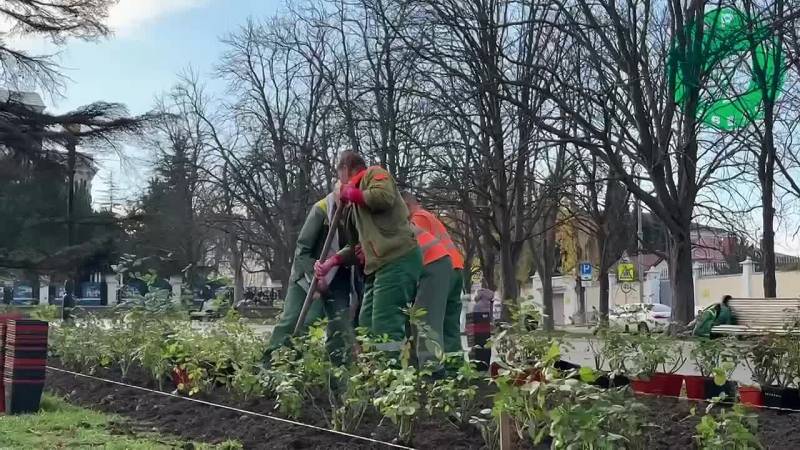 Специалисты «Парков и скверов» высадили новый розарий в сквере рядом с памятником В. И. Ленину