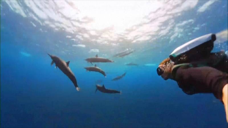 Чудеса подводного мира, раскрытые в 2025 году