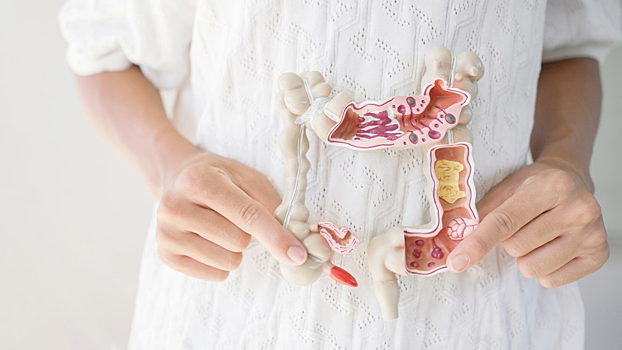 Вместо пробиотиков: в России предложили новую концепцию восстановления микробиоты