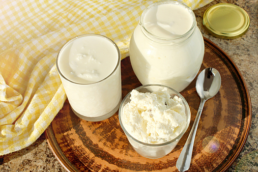 Бактерия из кефира обратила вспять старение иммунной системы