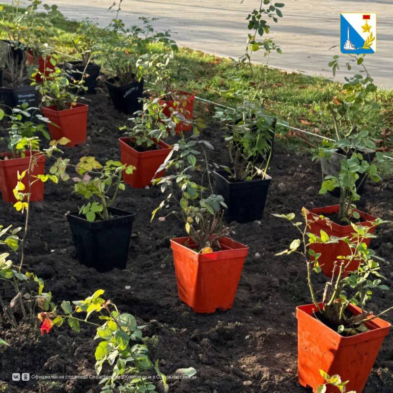 У Владимирского собора обновили розарий