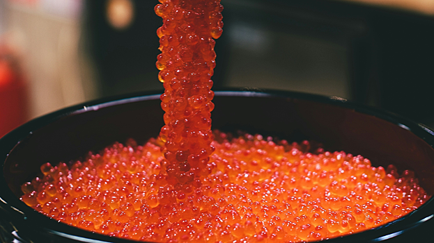 Ученые рассказали, какая икра полезнее и почему