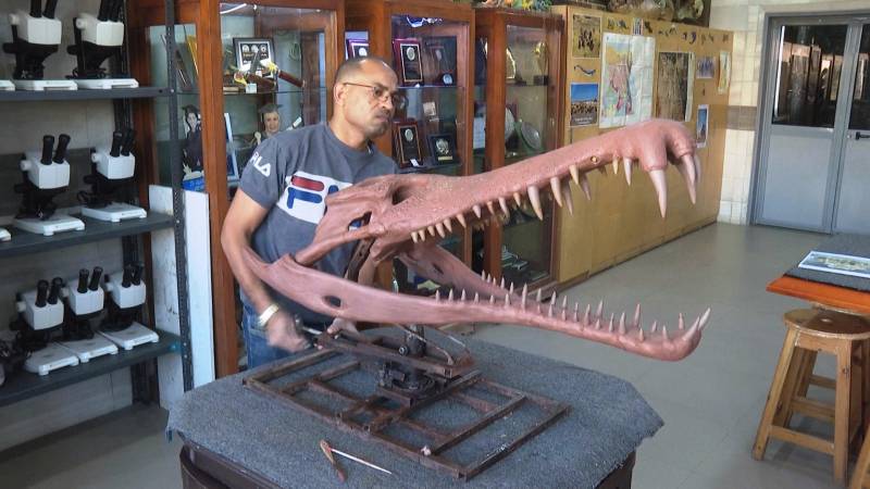 Кости древнего крокодила восполнили пробел в истории существования жив