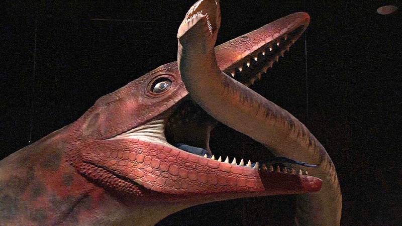 Новое открытие: доисторические хищники мозазавры могли обитать в реках, а не только в морях