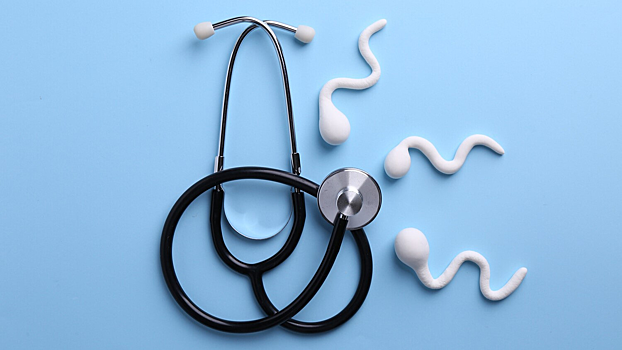 В сперматозоидах нашли «часы старения»