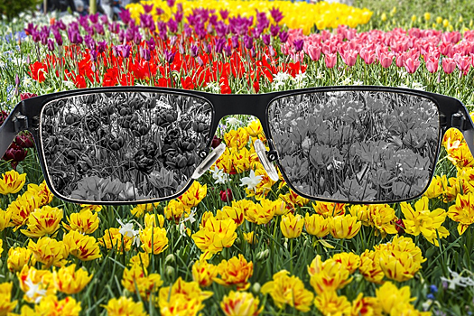 Ученые заявили о связи дальтонизма и смертности от рака