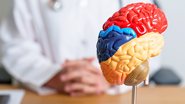 Нехватку сероводорода в мозге связали с потерей памяти