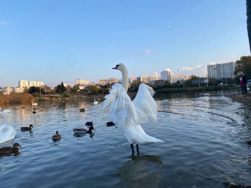 Сегодня, 15 января, в России отмечается День зимующих птиц!