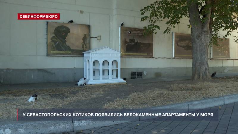 Итоги года: как в Севастополе заботятся о животных