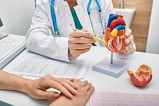 Стало известно, на что способно сердце после инфаркта