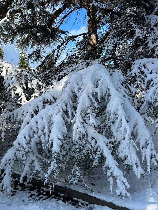 От снежного Севастополя остались только воспоминания ... и шедевральные снимки